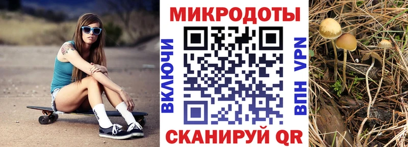 Галлюциногенные грибы ЛСД закладки Петровск-Забайкальский